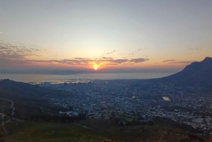 Lion's Head: Vandretur med en registreret vandreguide