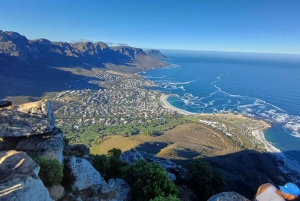 Lion's Head: Vandretur med en registreret vandreguide