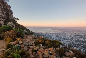 Lion's Head: Vandretur med en registreret vandreguide