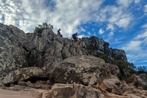 Lion's Head: Vandretur med en registreret vandreguide