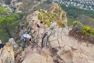 Lion's Head: Vandretur med en registreret vandreguide