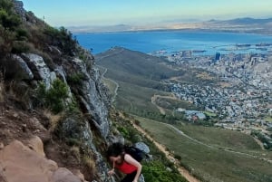 Lion's Head: Vandretur med en registreret vandreguide