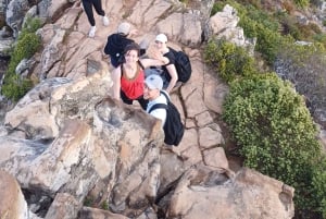 Lion's Head: Vandretur med en registreret vandreguide
