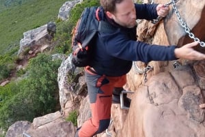 Lion's Head: Fottur med registrert turguide