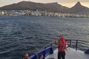 Luxury boat cruise from the V&A Waterfront