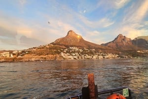 Luxury boat cruise from the V&A Waterfront
