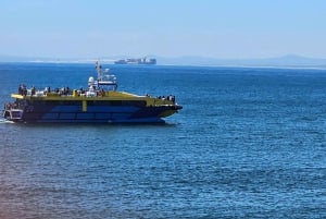 Роскошный круиз на лодке от набережной Виктории и Альберта