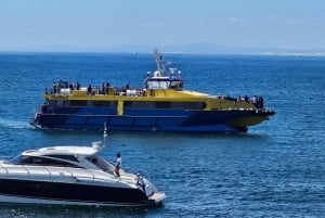 Crociera in barca di lusso dal V&A Waterfront