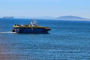 Роскошный круиз на лодке от набережной Виктории и Альберта