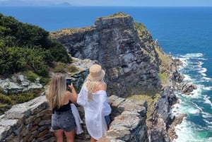 豪華な喜望峰とペンギンツアー