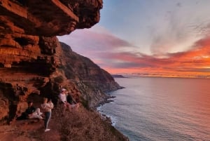 豪華な喜望峰とペンギンツアー