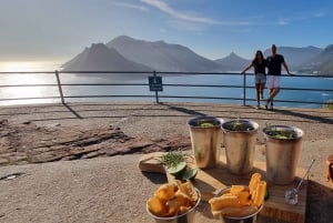 豪華な喜望峰とペンギンツアー