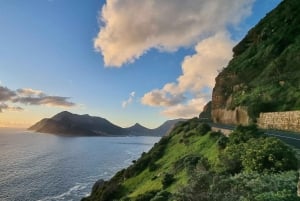 豪華な喜望峰とペンギンツアー