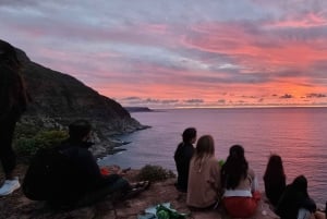 豪華な喜望峰とペンギンツアー