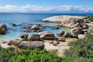 豪華な喜望峰とペンギンツアー