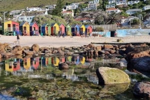 豪華な喜望峰とペンギンツアー