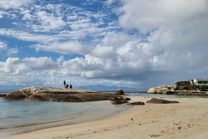 豪華な喜望峰とペンギンツアー