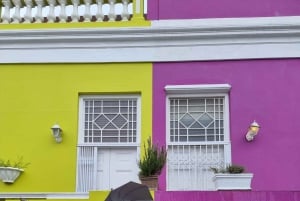 豪華な喜望峰とペンギンツアー