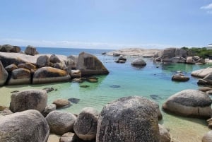 豪華な喜望峰とペンギンツアー