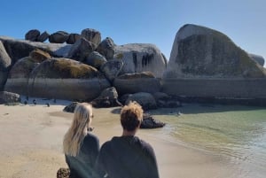 豪華な喜望峰とペンギンツアー