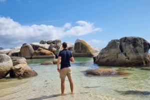 豪華な喜望峰とペンギンツアー