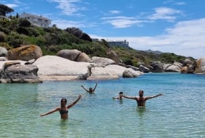 豪華な喜望峰とペンギンツアー