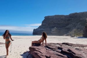 豪華な喜望峰とペンギンツアー