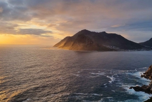 Circuit de luxe au Cap de Bonne Espérance et aux Pingouins