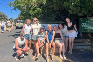 Luxustour Cape Point, Good Of Good Hope, Boulders Beach