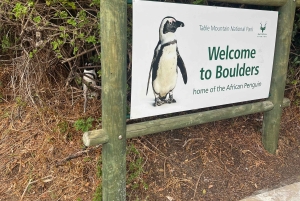 Luxustour Cape Point, Good Of Good Hope, Boulders Beach