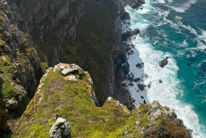 Luxustour Cape Point, Good Of Good Hope, Boulders Beach