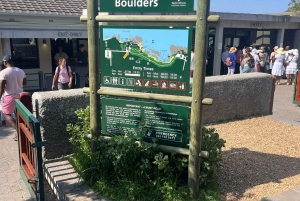 Luxustour Cape Point, Good Of Good Hope, Boulders Beach