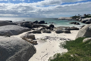 Luxustour Cape Point, Good Of Good Hope, Boulders Beach