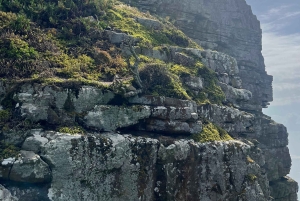 Luxustour Cape Point, Good Of Good Hope, Boulders Beach