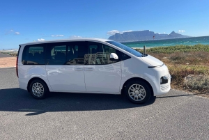 Luxustour Cape Point, Good Of Good Hope, Boulders Beach