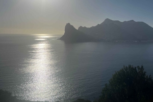 Luxustour Cape Point, Good Of Good Hope, Boulders Beach