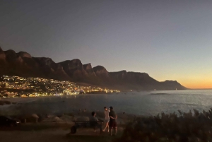 Luxustour Cape Point, Good Of Good Hope, Boulders Beach