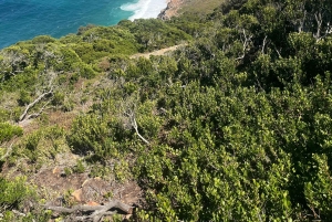 Luxustour Cape Point, Good Of Good Hope, Boulders Beach