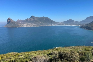 Luxustour Cape Point, Good Of Good Hope, Boulders Beach