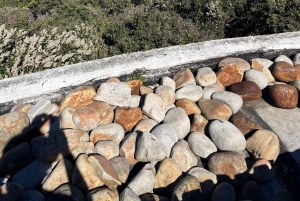 Luxustour Cape Point, Good Of Good Hope, Boulders Beach