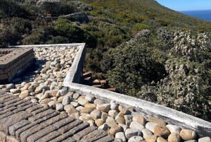 Luxustour Cape Point, Good Of Good Hope, Boulders Beach