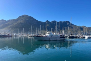 Luxustour Cape Point, Good Of Good Hope, Boulders Beach