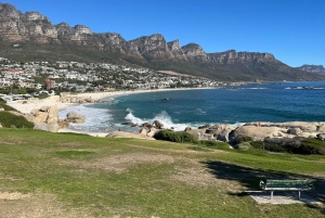 Luxustour Cape Point, Good Of Good Hope, Boulders Beach