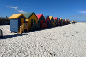 Luxustour Cape Point, Good Of Good Hope, Boulders Beach