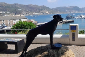 Luxustour Cape Point, Good Of Good Hope, Boulders Beach