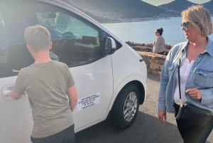 Luxustour Cape Point, Good Of Good Hope, Boulders Beach