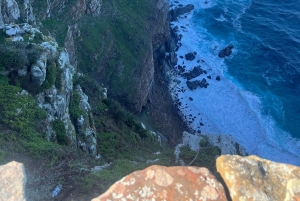 Luxustour Cape Point, Good Of Good Hope, Boulders Beach