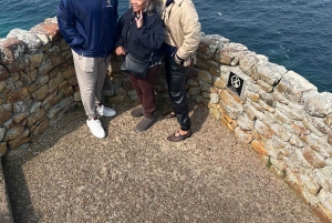 Luxustour Cape Point, Good Of Good Hope, Boulders Beach