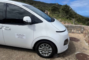 Luxustour Cape Point, Good Of Good Hope, Boulders Beach