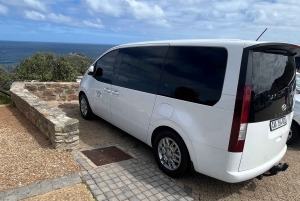 Luxustour Cape Point, Good Of Good Hope, Boulders Beach